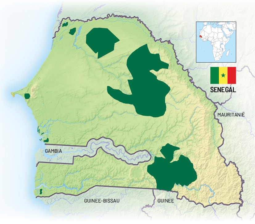 senegal zonder