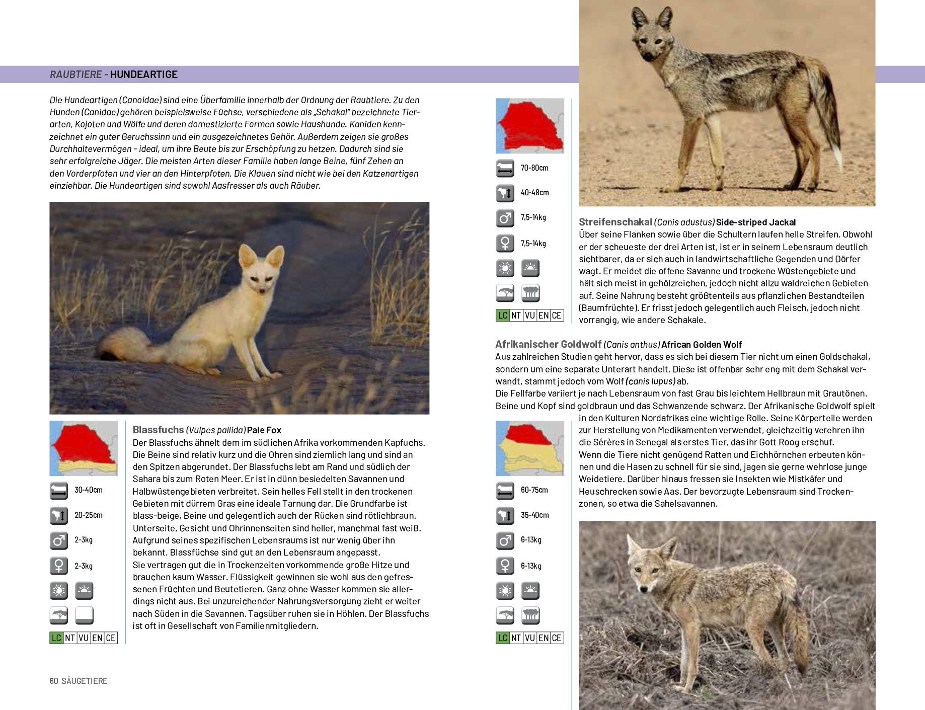 gambiasenegalexample3.jpg