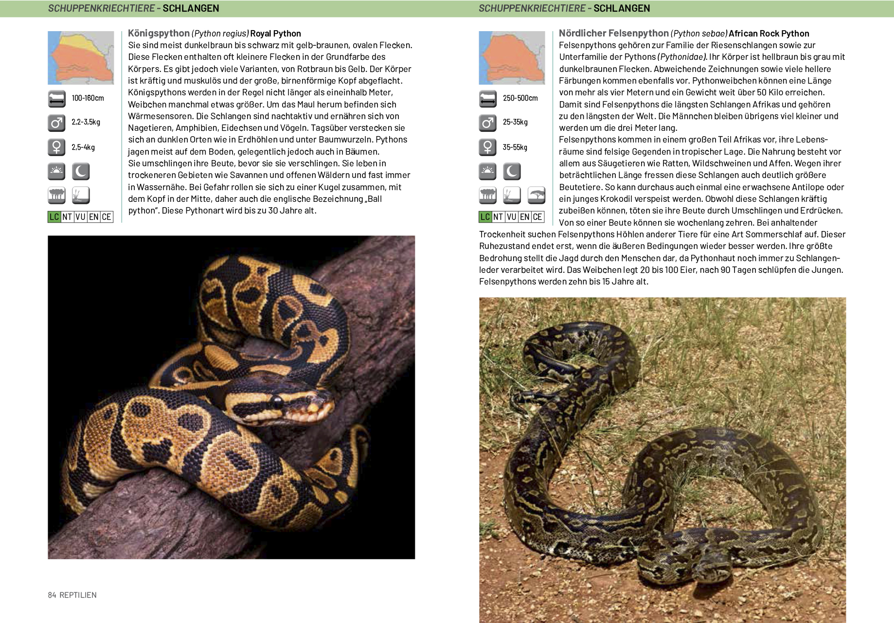 gambiasenegalexample5.jpg