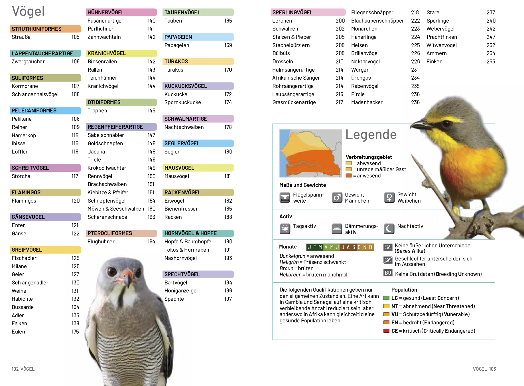 gambiasenegalexample6.jpg