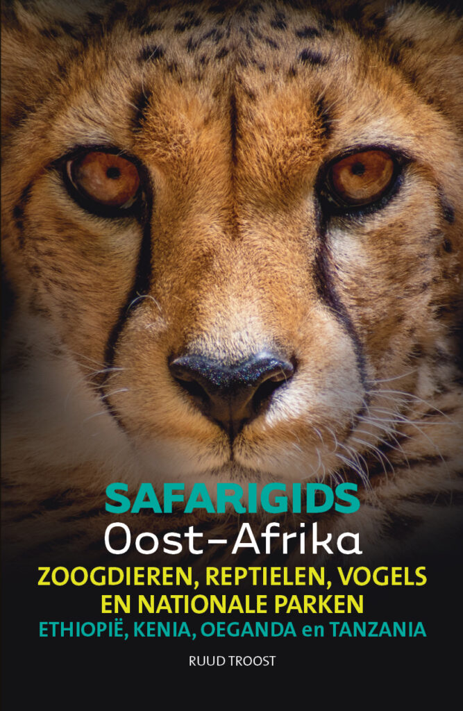 oa voorzijde