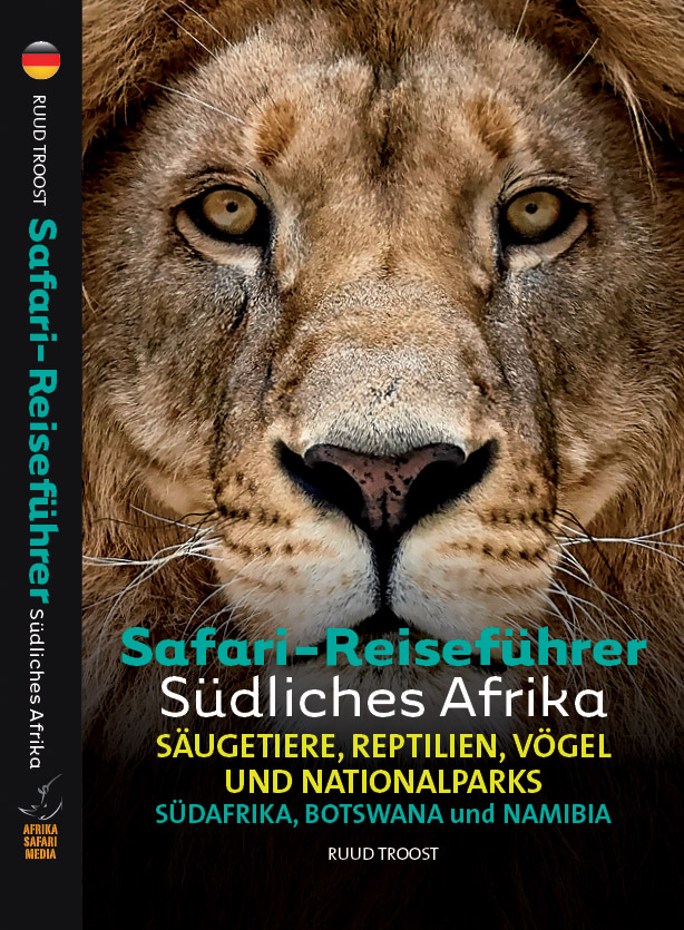 sud cover.jpg