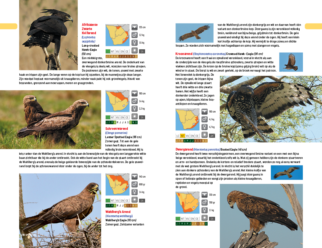 za vogels 216 217.jpg
