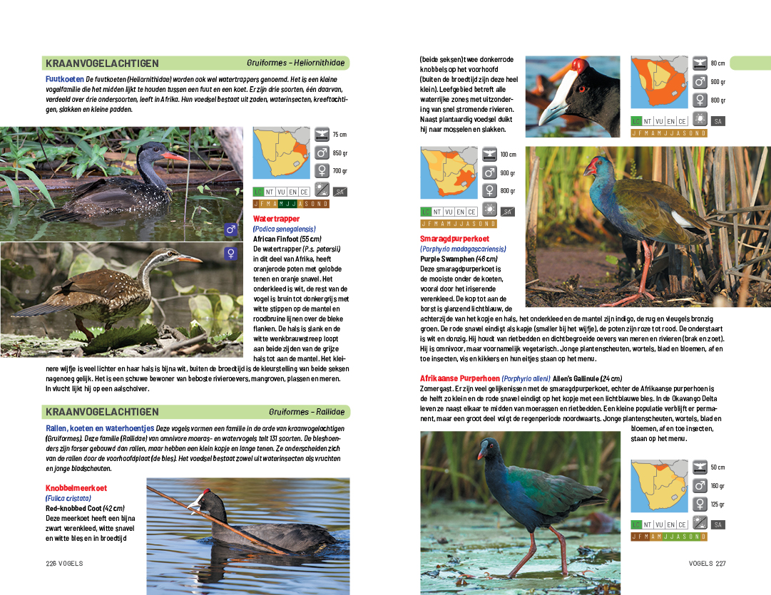 za vogels 226 227.jpg