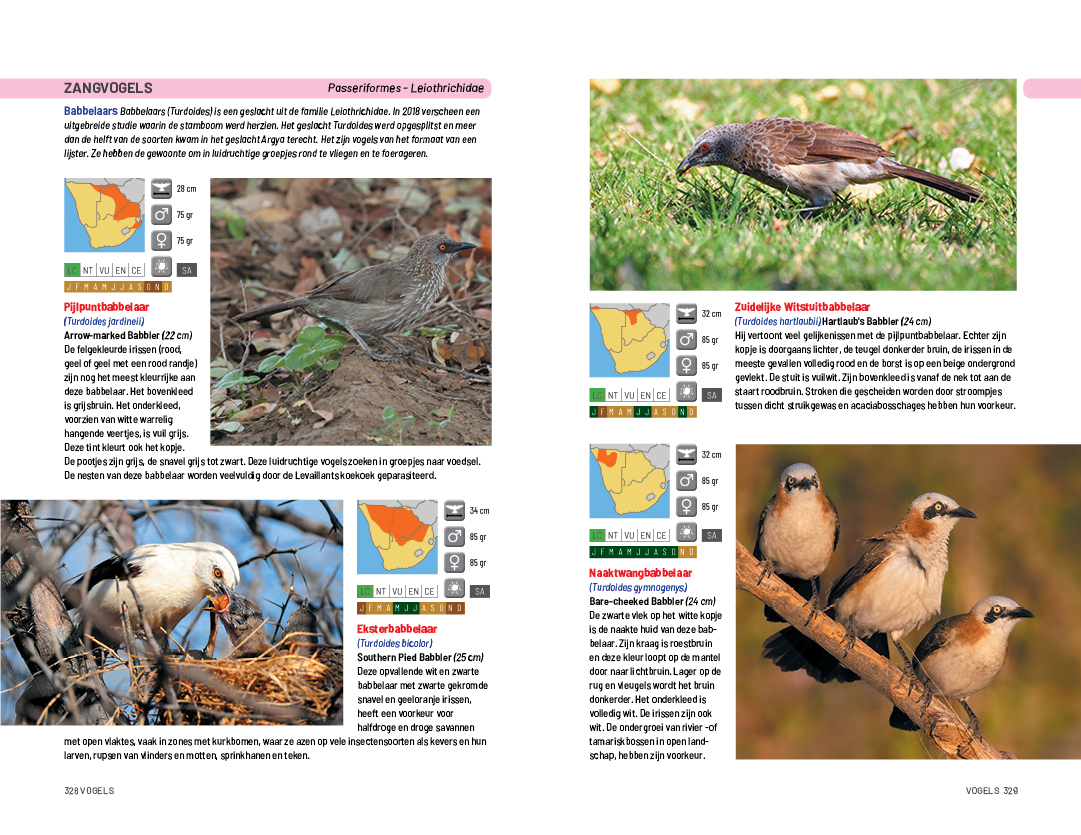 za vogels 328 329.jpg