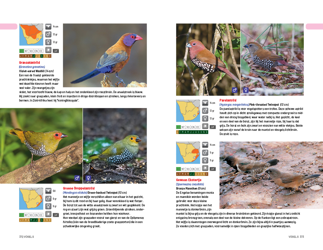 za vogels 372 373.jpg