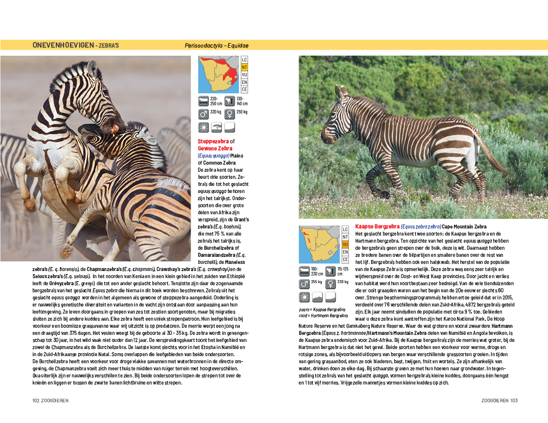 za zoogdieren 102 103.jpg