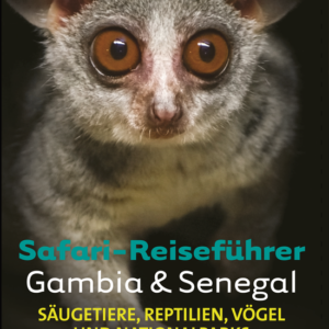 coverduits.png